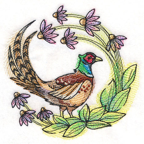 Coneflower Blooms Pheasant