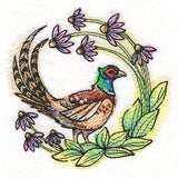 Coneflower Blooms Pheasant