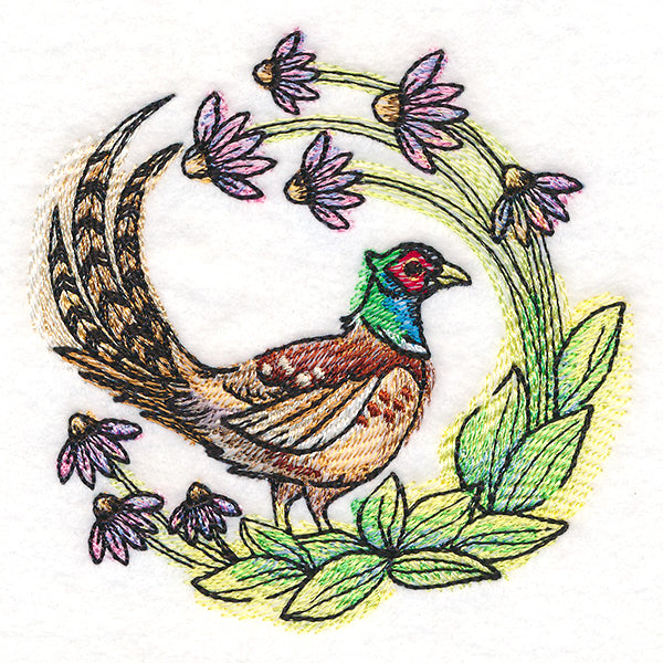 Coneflower Blooms Pheasant