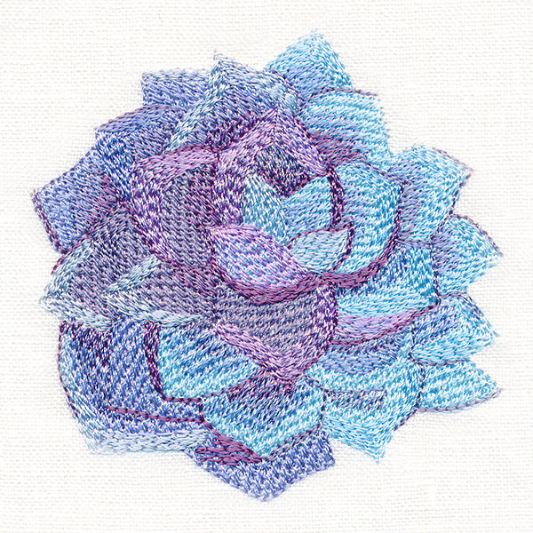 Sweet Succulent in Watercolor