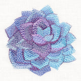 Sweet Succulent in Watercolor