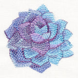 Sweet Succulent in Watercolor