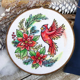 Poinsettia Blooms Cardinal