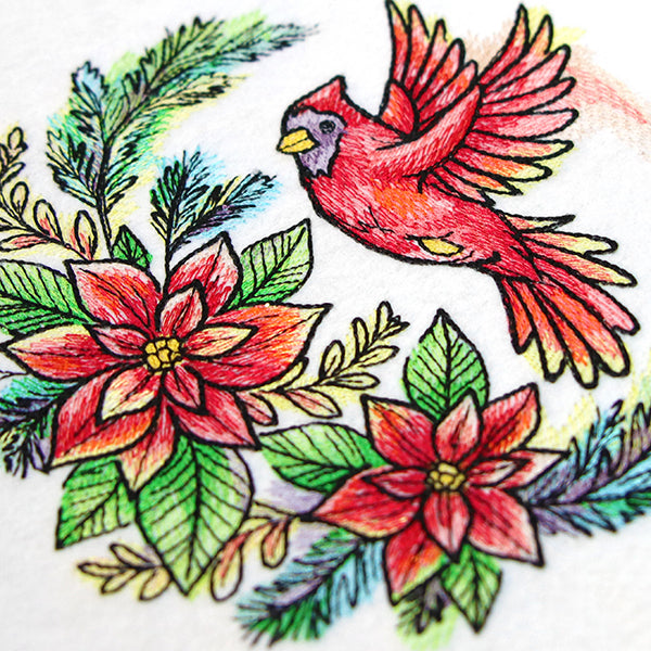 Poinsettia Blooms Cardinal