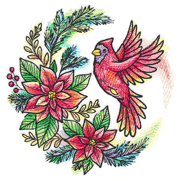 Poinsettia Blooms Cardinal