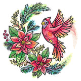 Poinsettia Blooms Cardinal