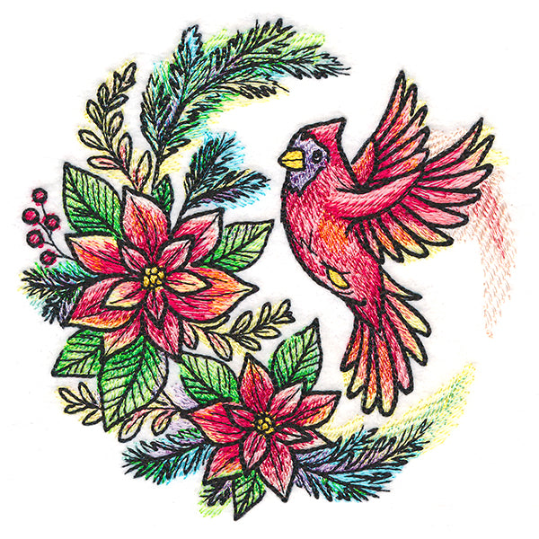 Poinsettia Blooms Cardinal