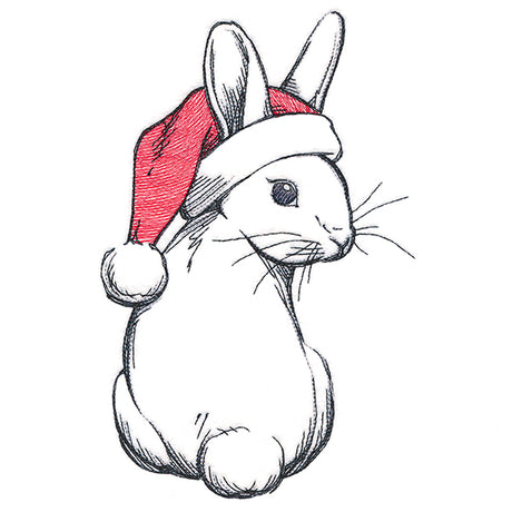 Sweet Santa Bunny