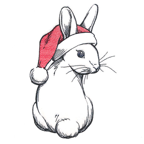 Sweet Santa Bunny