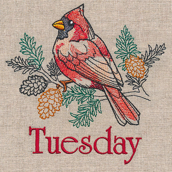 Merry Tuesday - Cardinal with Pinecones