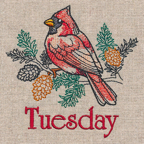 Merry Tuesday - Cardinal with Pinecones