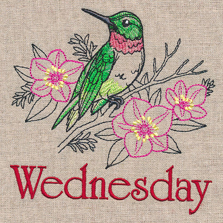 Merry Wednesday - Hummingbird with Lenten Roses