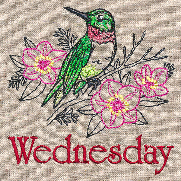 Merry Wednesday - Hummingbird with Lenten Roses