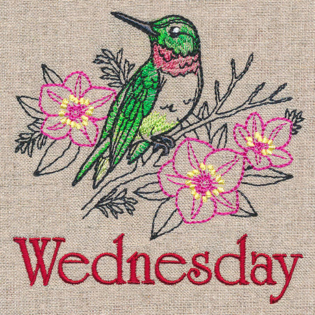 Merry Wednesday - Hummingbird with Lenten Roses