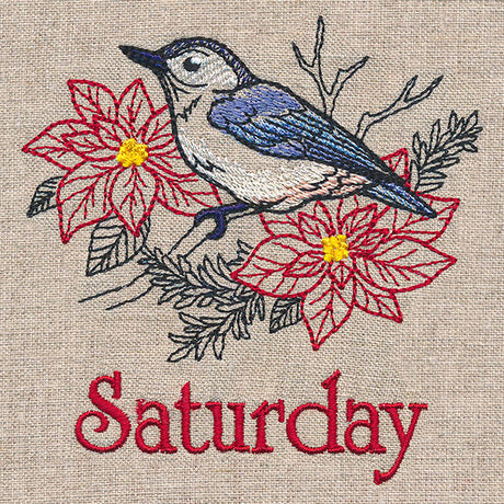 Merry Saturday - Nuthatch with Poinsettias