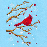 Perched on the Edge Cardinal