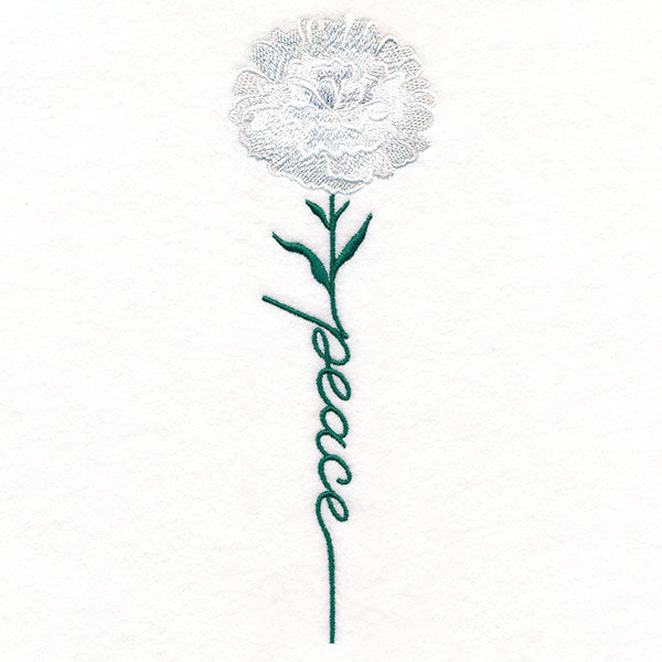 Peace Bloom Carnation