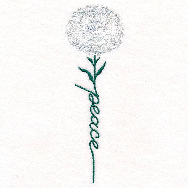 Peace Bloom Carnation