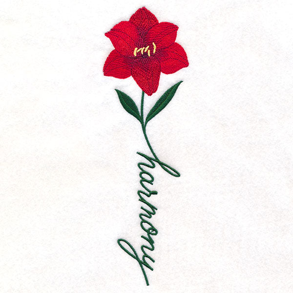 Harmony Bloom Amaryllis