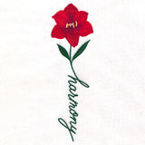 Harmony Bloom Amaryllis