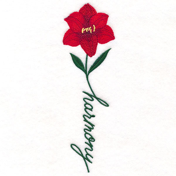 Harmony Bloom Amaryllis