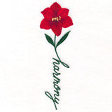 Harmony Bloom Amaryllis