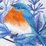 Beautiful Winter Bluebird