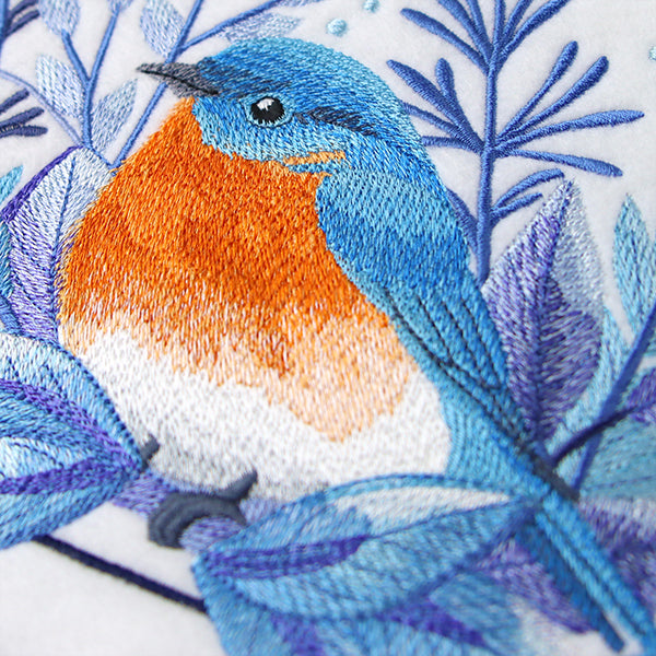 Beautiful Winter Bluebird