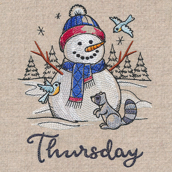 Country Snowman and Raccoon on Thursday