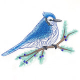 Filigree Blue Jay on Juniper