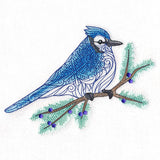 Filigree Blue Jay on Juniper
