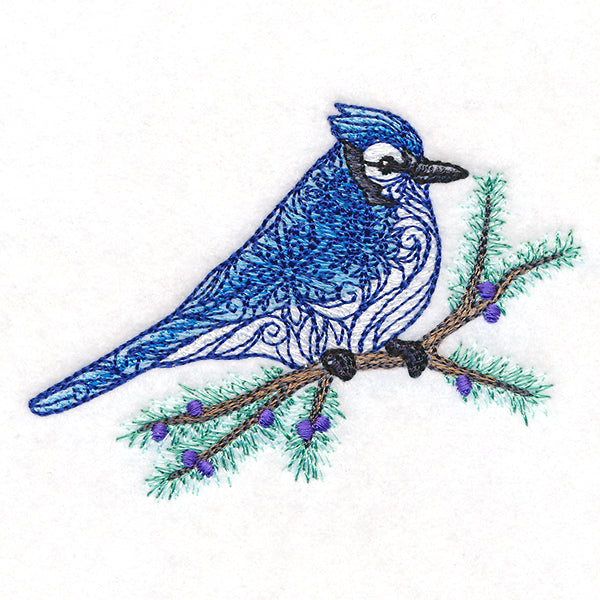 Filigree Blue Jay on Juniper