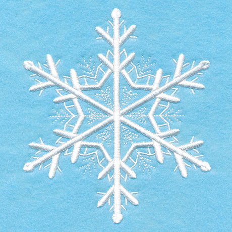 Snowflake Soiree 1 (Puff Foam)