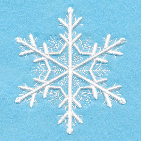 Snowflake Soiree 1 (Puff Foam)