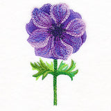 Precious Anemone in Watercolor