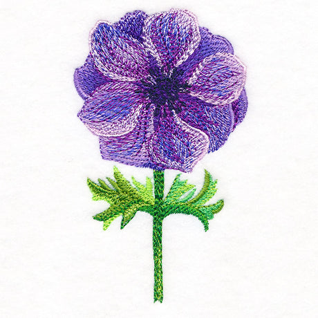 Precious Anemone in Watercolor