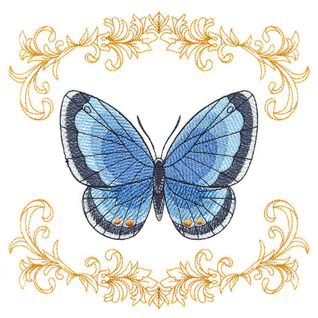 Beautiful Butterfly in Filigree