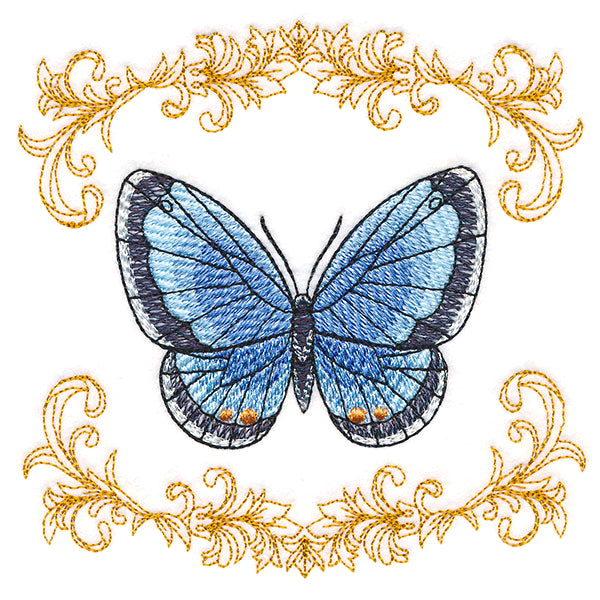 Beautiful Butterfly in Filigree