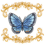 Beautiful Butterfly in Filigree