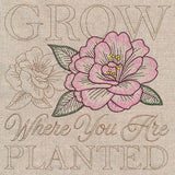 Blooming Peony Medley