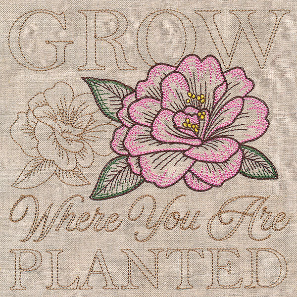 Blooming Peony Medley