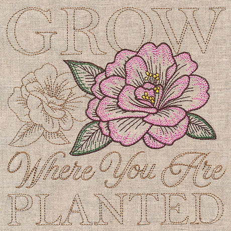 Blooming Peony Medley