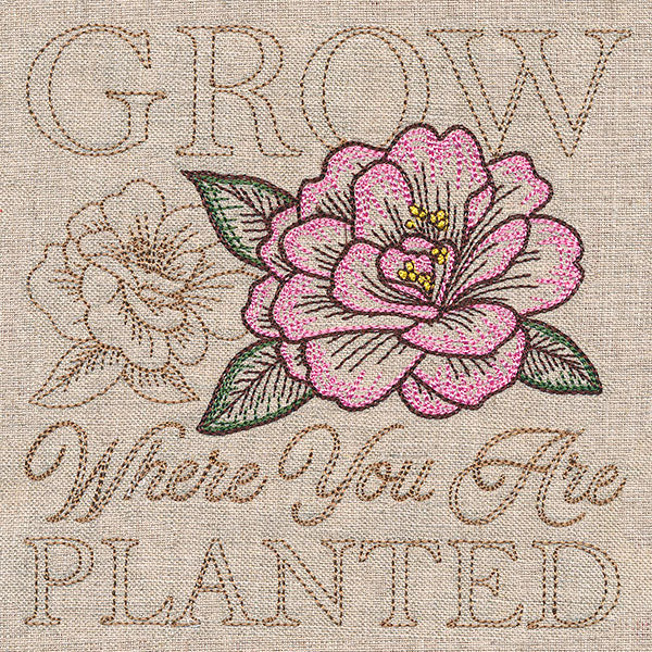 Blooming Peony Medley