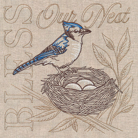 Sweet Blue Jay Medley