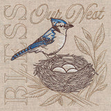 Sweet Blue Jay Medley