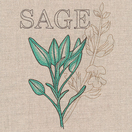 Fresh Sage Medley
