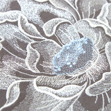 Delicate Blooming Petals