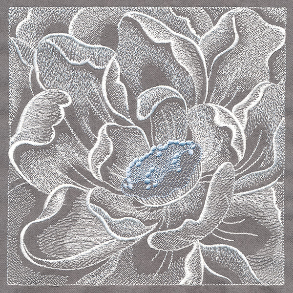 Delicate Blooming Petals