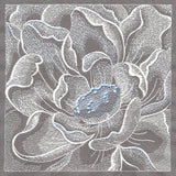 Delicate Blooming Petals