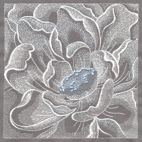 Delicate Blooming Petals